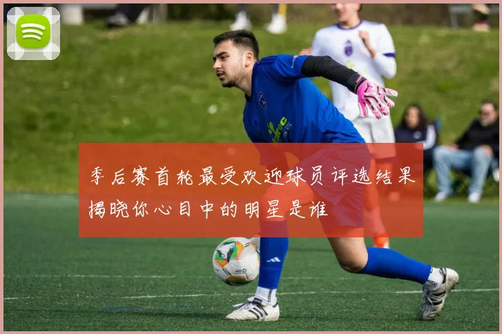 季后赛首轮最受欢迎球员评选结果揭晓你心目中的明星是谁